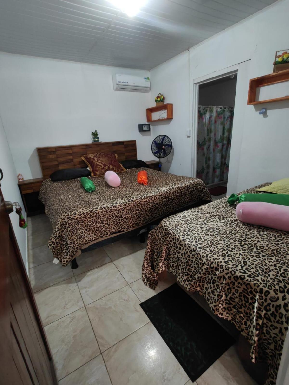 Tortuguero Casa De Playa Green House Apartment Exterior photo